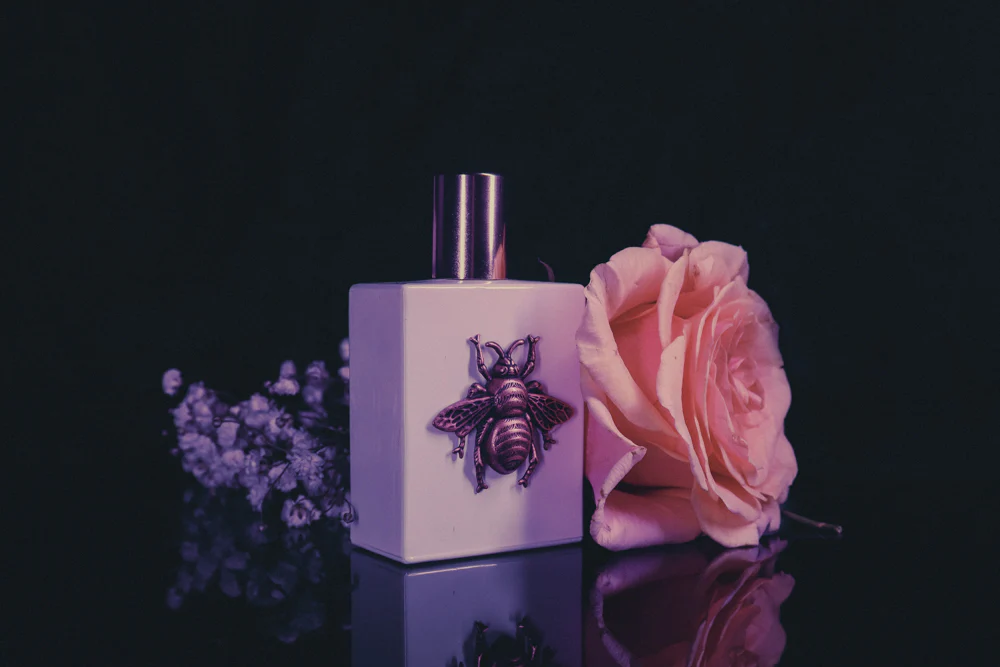 Studio Editions